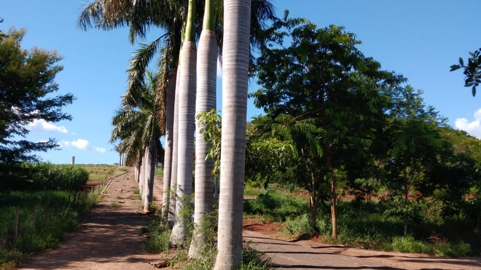 154 - Terreno p/ Venda 154 - Terreno p/ Venda