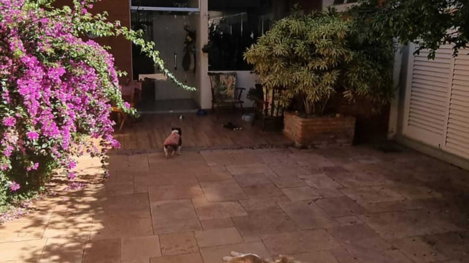 183 - Casa p/ Venda 183 - Casa p/ Venda