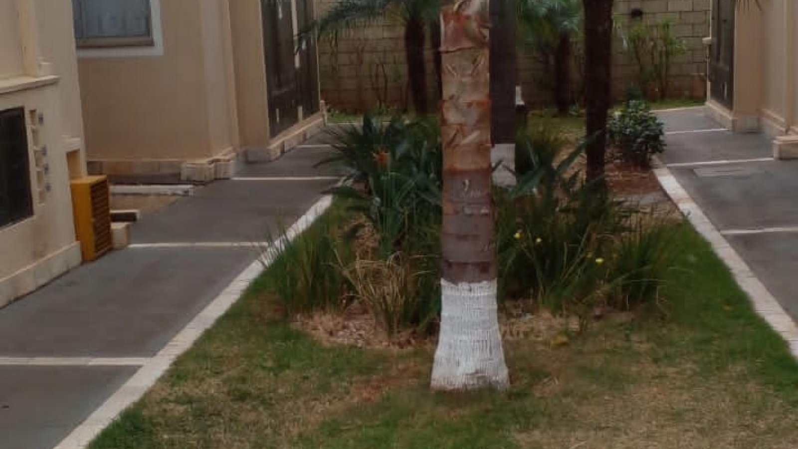 195 - Apartamento p/ Venda 195 - Apartamento p/ Venda