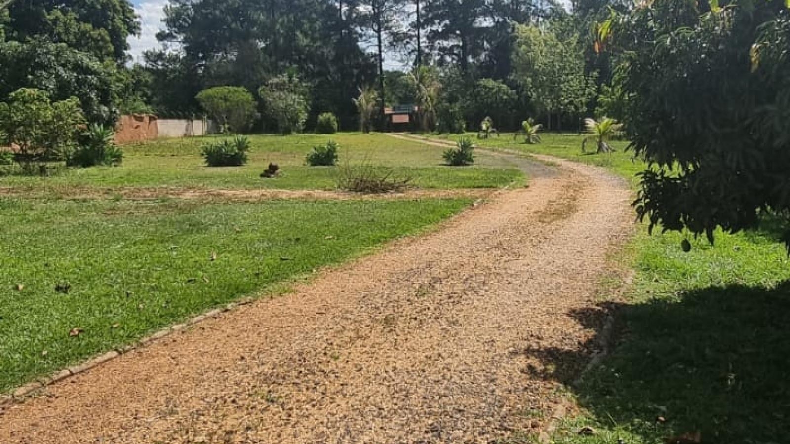 206 - Chácara/Sítio p/ Venda 206 - Chácara/Sítio p/ Venda