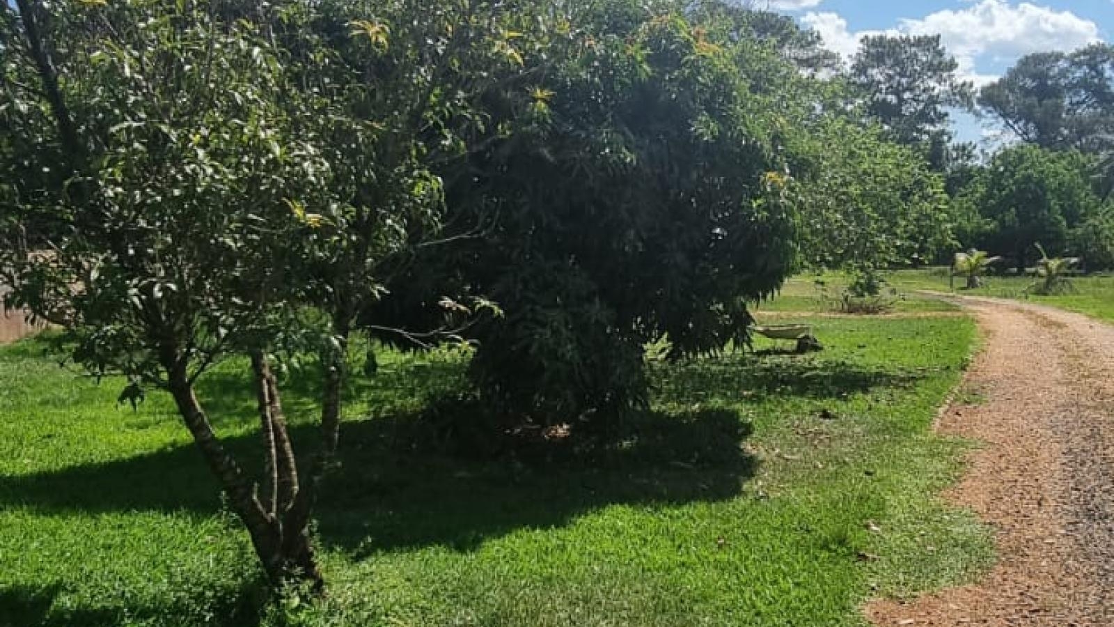 206 - Chácara/Sítio p/ Venda 206 - Chácara/Sítio p/ Venda