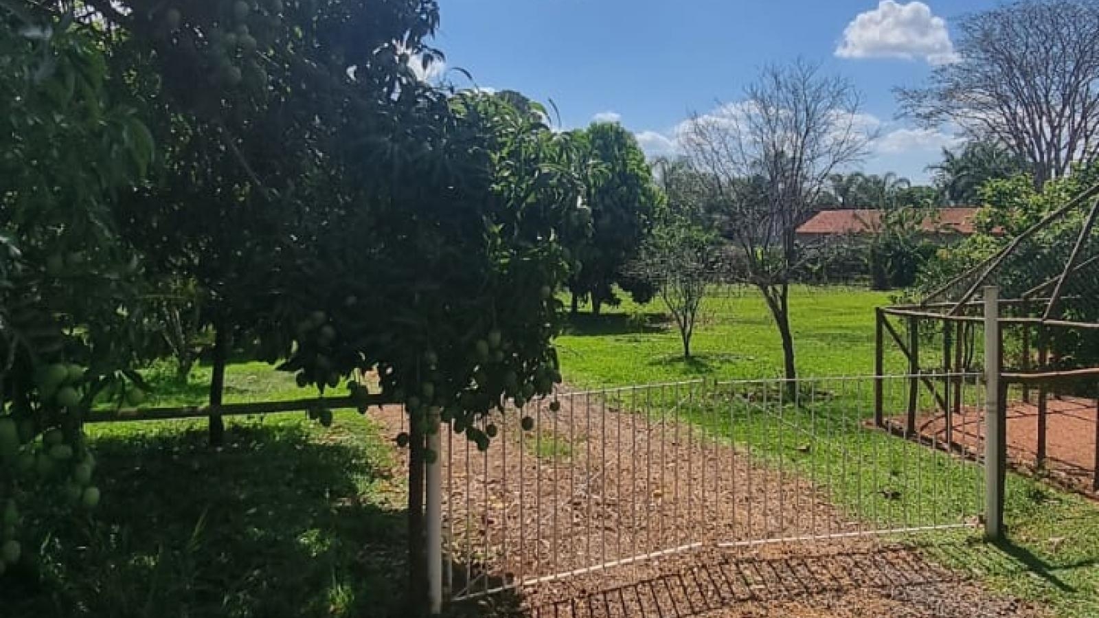 206 - Chácara/Sítio p/ Venda 206 - Chácara/Sítio p/ Venda