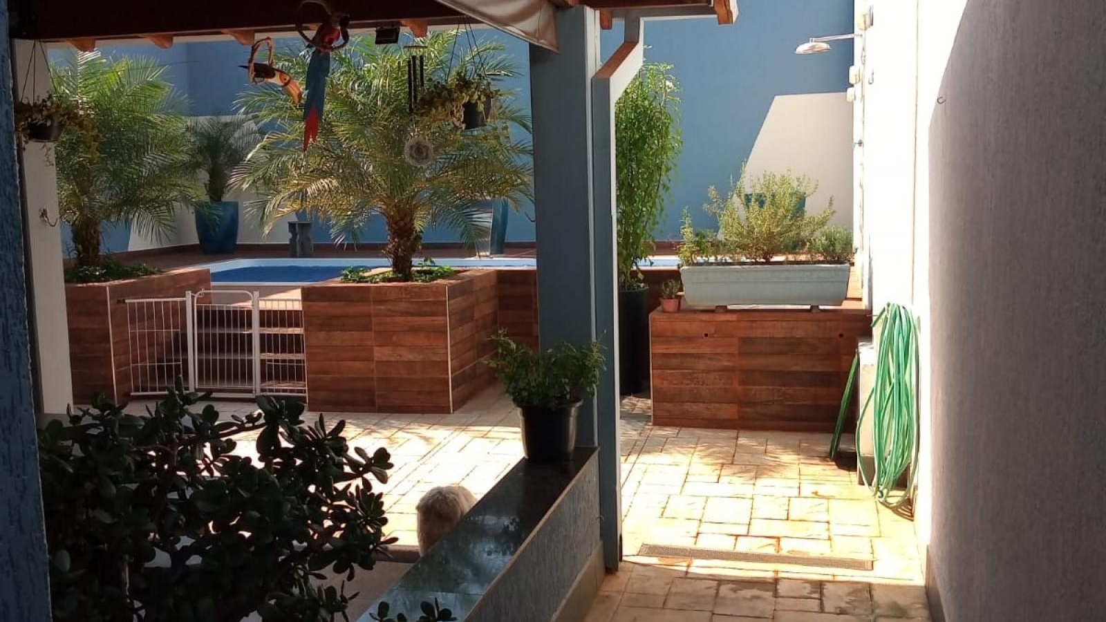 257 - Casa p/ Venda 257 - Casa p/ Venda