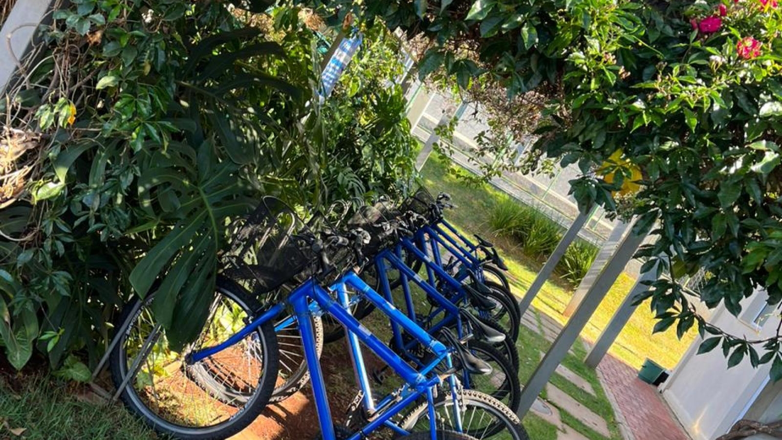 261 - Apartamento p/ Venda 261 - Apartamento p/ Venda