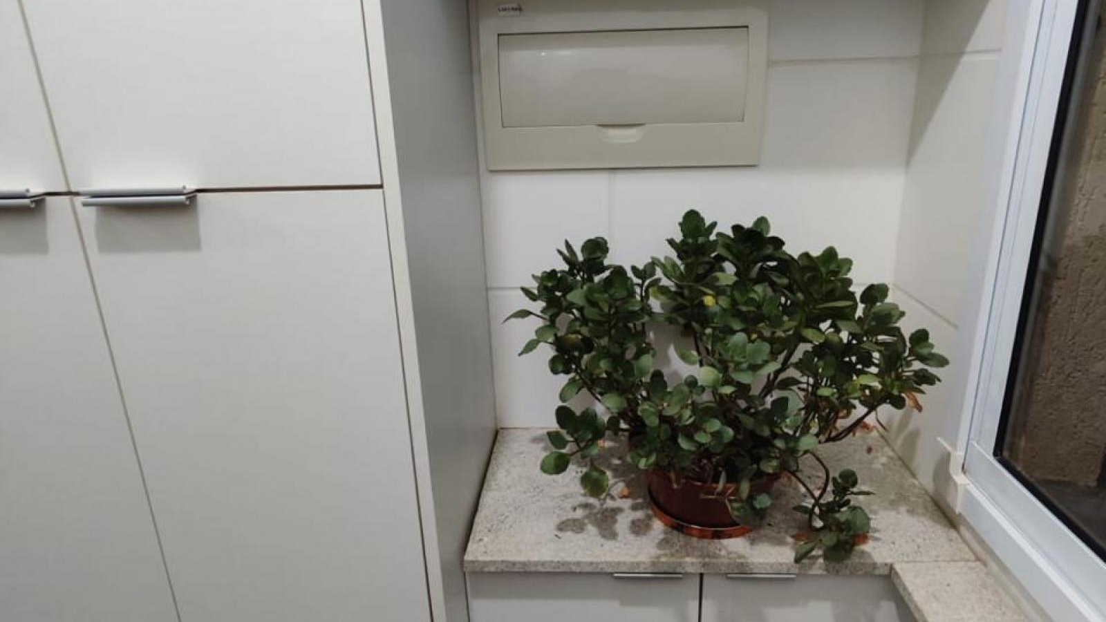 261 - Apartamento p/ Venda 261 - Apartamento p/ Venda